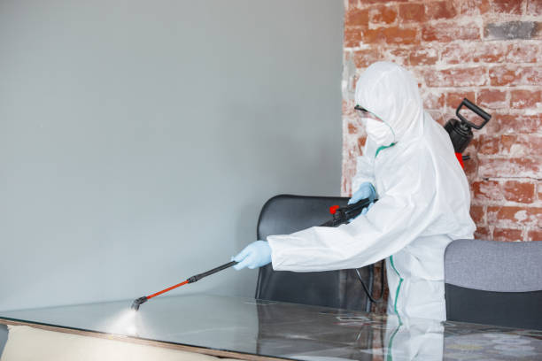 Why You Should Choose Our Mold Remediation Services in Wenonah, NJ